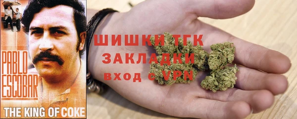 амф Костерёво